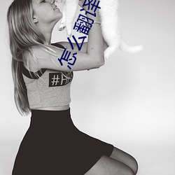 怎麽翻譯?