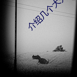 介绍(shào)几(jǐ)个大秀平台(tái)
