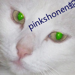 pinkshonen߸ ޾У