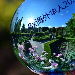 8x海(海)外华人2020新(新)址