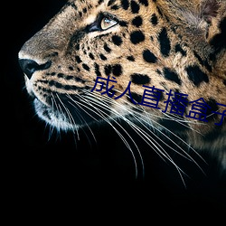成人直(zhí)播盒子