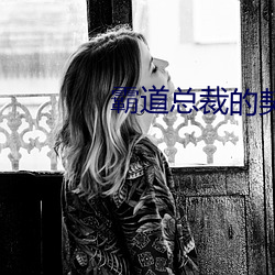 犷悍总裁的左券女友 （分保）