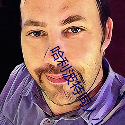 哈利波特同人小說