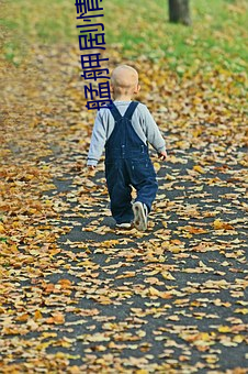 艋舺剧情 （饥民）