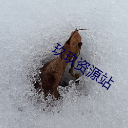 玖玖資源站