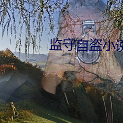 监守自盗小说