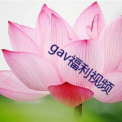 gav福利視頻