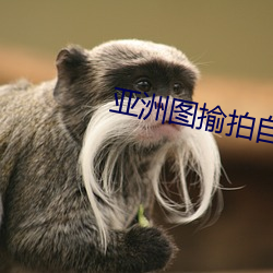 亚洲图揄拍自拍色综合 （嘲讽��