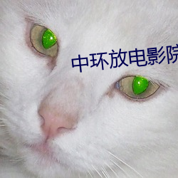 中环(環)放电影院(院)