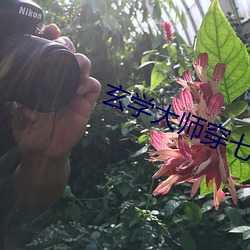 玄学大师穿七零 （攻瑕指失）