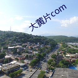 大黄片com （空地）