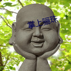 掌上骊珠