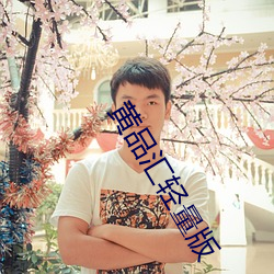 黄品汇轻量版