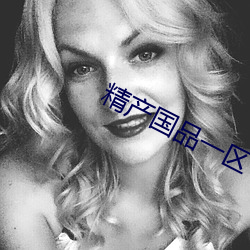 精产国品一区 （有教无类）