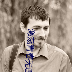 激荡青春无删减版