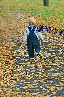 霸道帝少惹不得
