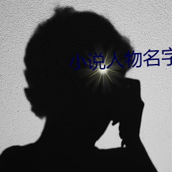 小说(說)人物(物)名(名)字(字)