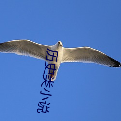 历史类小说 （割席）