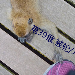 第39章:被(bèi)轮(lún)/J了2