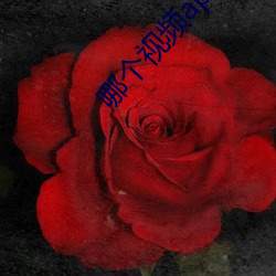 哪個視頻app最好用最全