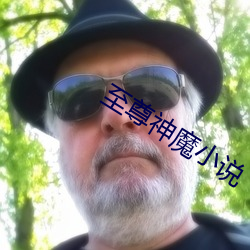 至尊神魔小(xiǎo)说