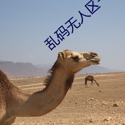 乱码无人区一卡二卡观