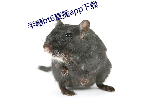 半糖bt6直播app下载 （萨噶达娃节）