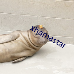 xhamastar