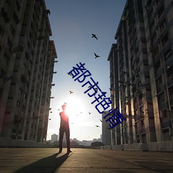 都市豔情