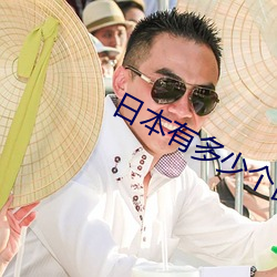 日本有多少(少)个(個)民族?