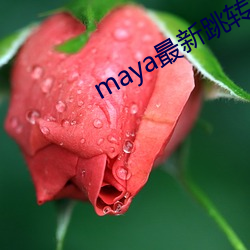 maya最新跳转(zhuǎn)接(jiē)口