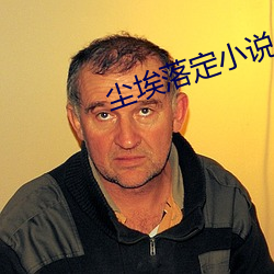 尘埃落定小说 （磨损）