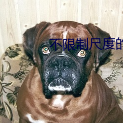 不限制尺(chǐ)度(dù)的直播(bō)平台
