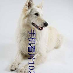 手机看片1024金沙 （一会儿）