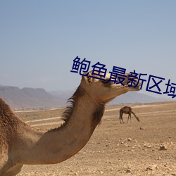 鲍鱼最新区域2021
