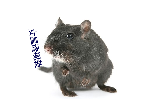 女星透视(視)装