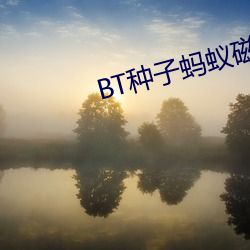 BT种子蚂(mǎ)蚁(yǐ)磁力(lì)