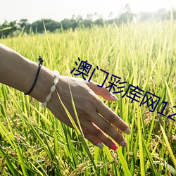 欧博abg - 官方网址登录入口