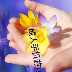 成人手机游戏 （铁道）