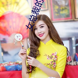 女總裁的上門女婿最新