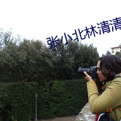 张小北林清清