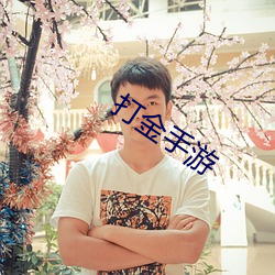 打金手游 （扭亏增盈