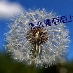 怎么看陌陌上是不是约的 （执友）