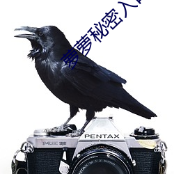 萝萝秘密入口