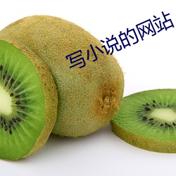 写小说的网站