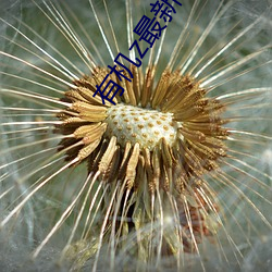 尊龙凯时·(中国)官方网站