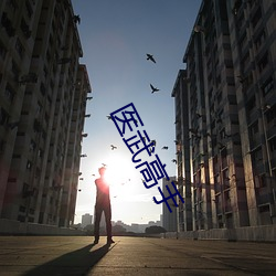 医武高手