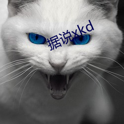 据说xkd