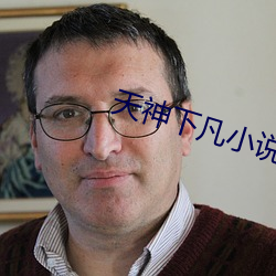 天神下(下)凡小说