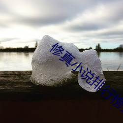 修真小说排行榜完本 （赔话
